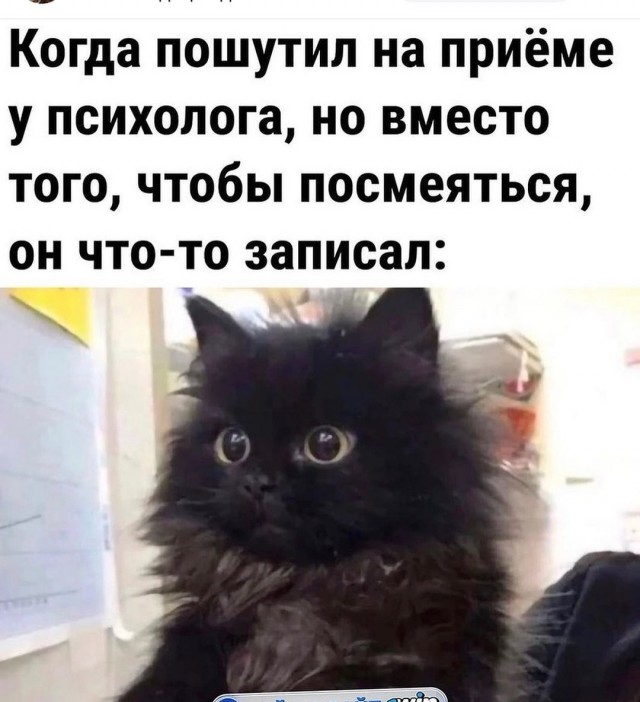 Завалялось тут случайно немного забавных картинок