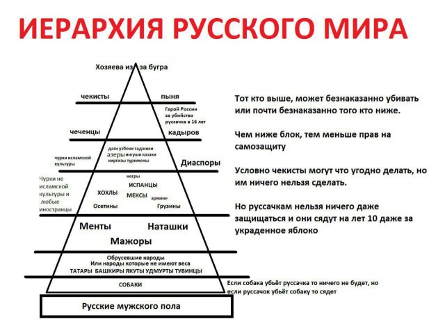 Мужу Скабеевой звонил депутат Хамзаев и угрожал