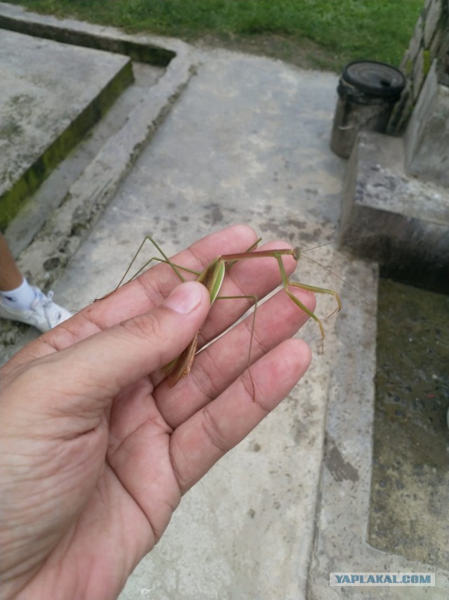 Бутан, таинственный Бутан