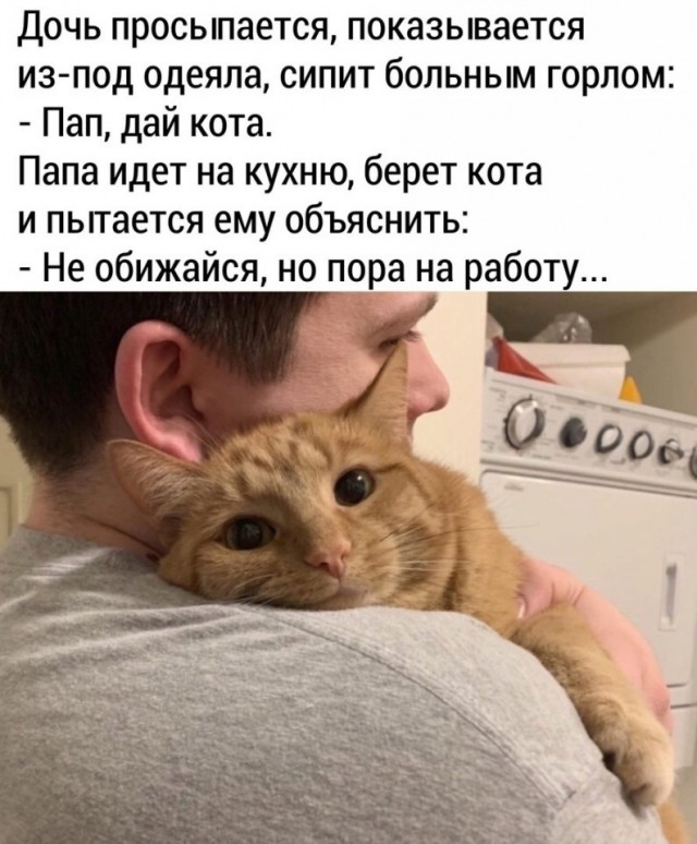 Так себе картинки 27.02.25