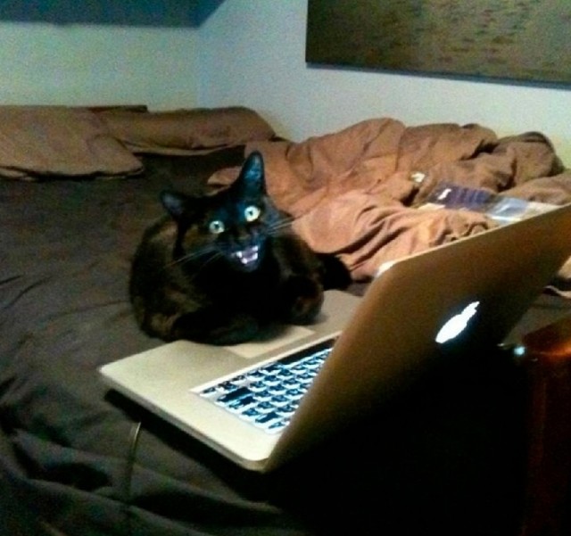 Фотосмесь 07.03.25