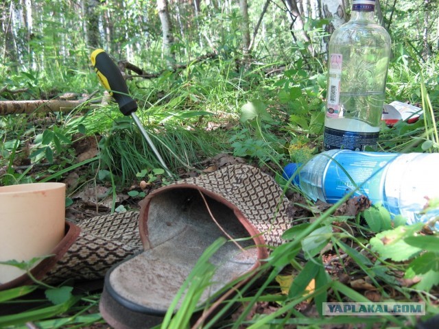 Сейчас бы поваляться на траве
