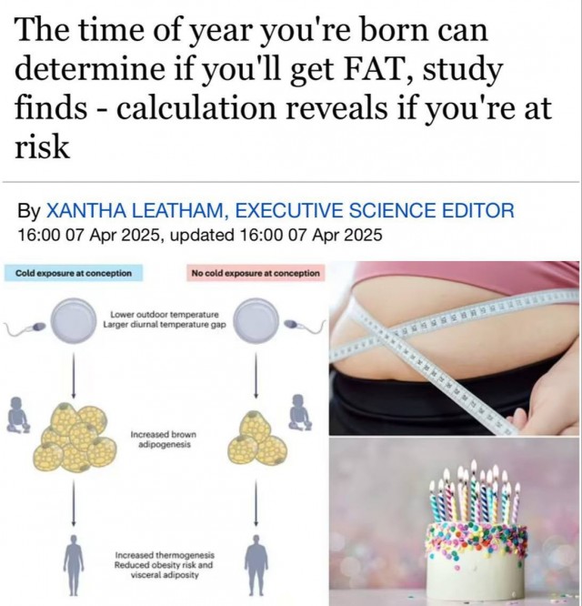 О как, чё я не толстею? Только тётки вокруг шарообразные