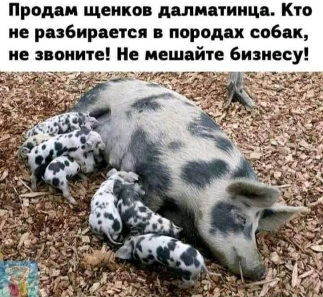 Картинки ниапчём и обо всём