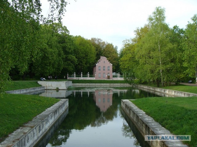 Кусково 15.05.2025