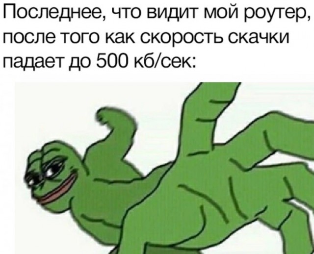 Весёлый полтишок 09.07.25