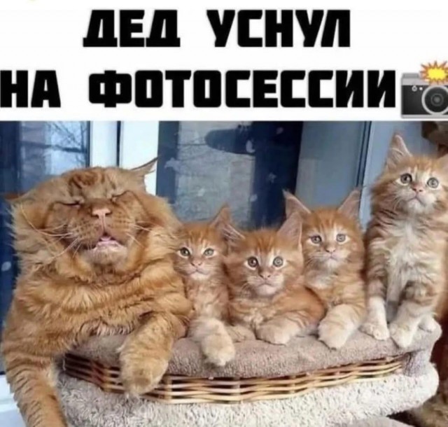 Завалялось тут случайно немного забавных картинок