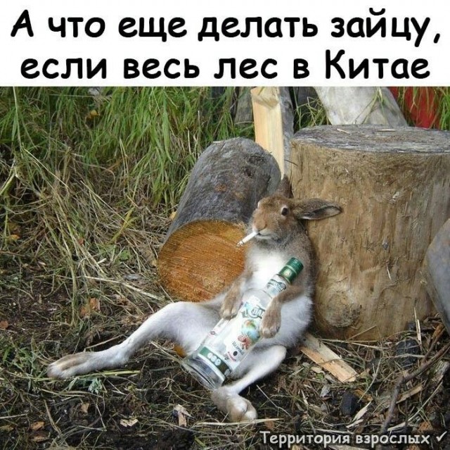 Прикольные и просто красивые картинки 15.08.2025