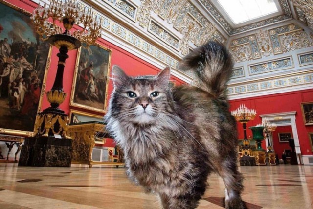 Краткий обзор кошек Лувра.