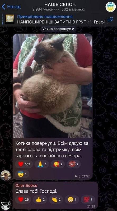 На Украине после широкой огласки вернули хозяйке "мобилизованного" кота