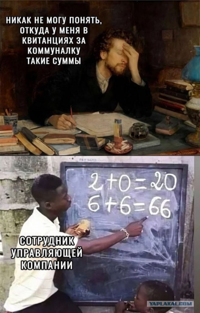 Веселые картинки в пятницу (03.02)