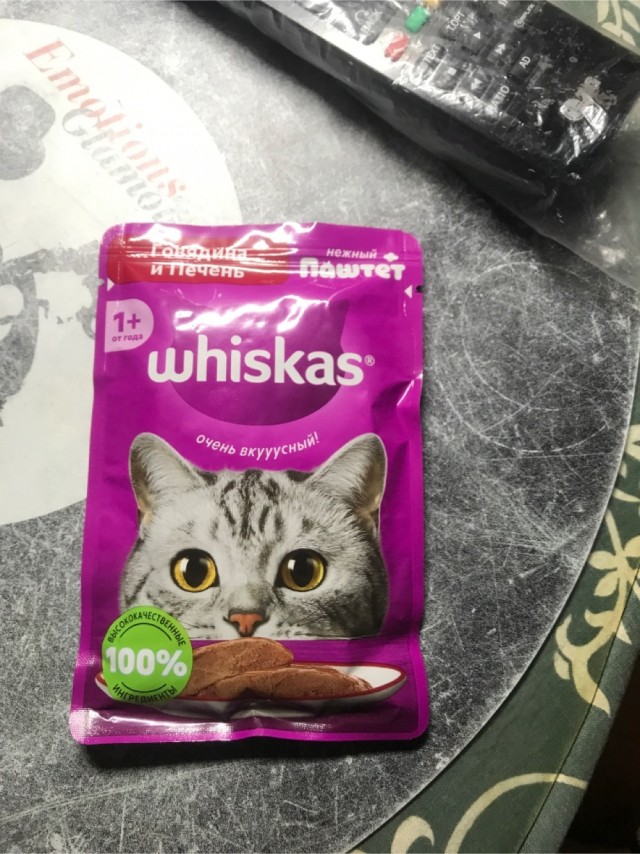 Ночное кормление котов
