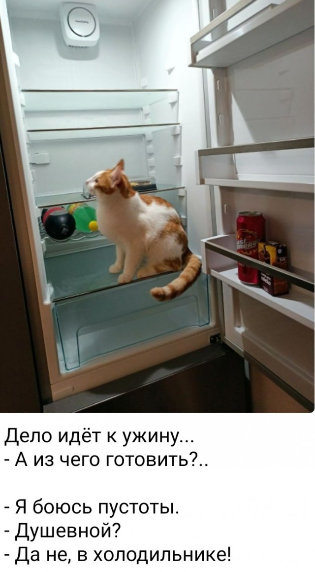 Картиночки, баянчики 04 марта