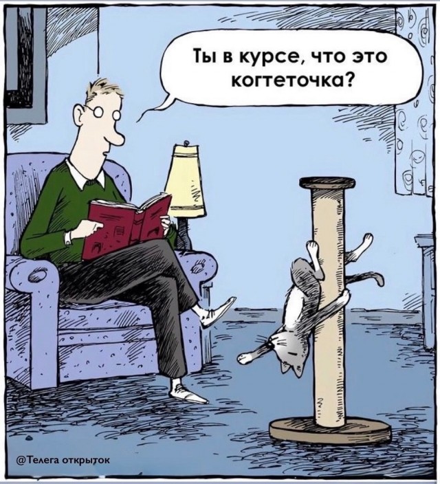 Так себе картинки 19.03.26