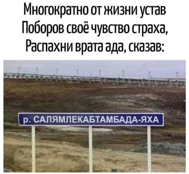 Веселые картинки в пятницу (20.03)