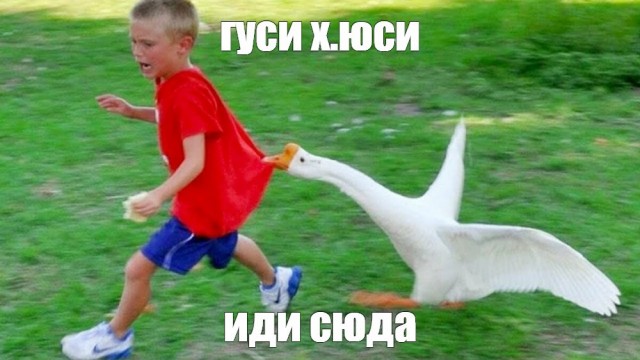 Урок усвоен