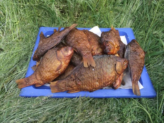 Ловля гигантской селедки