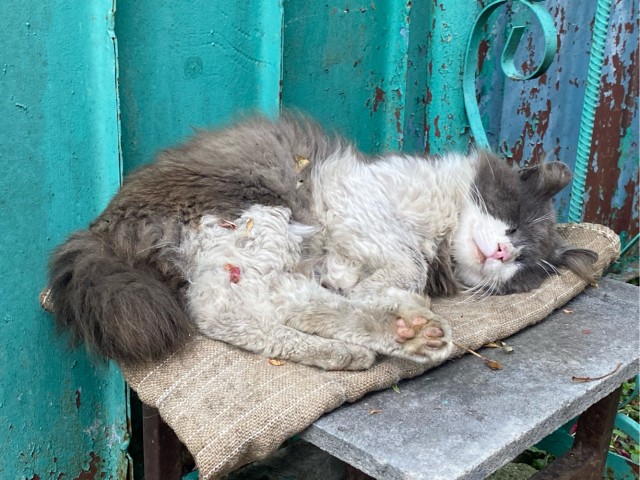 Он уже спит и вы отдыхайте
