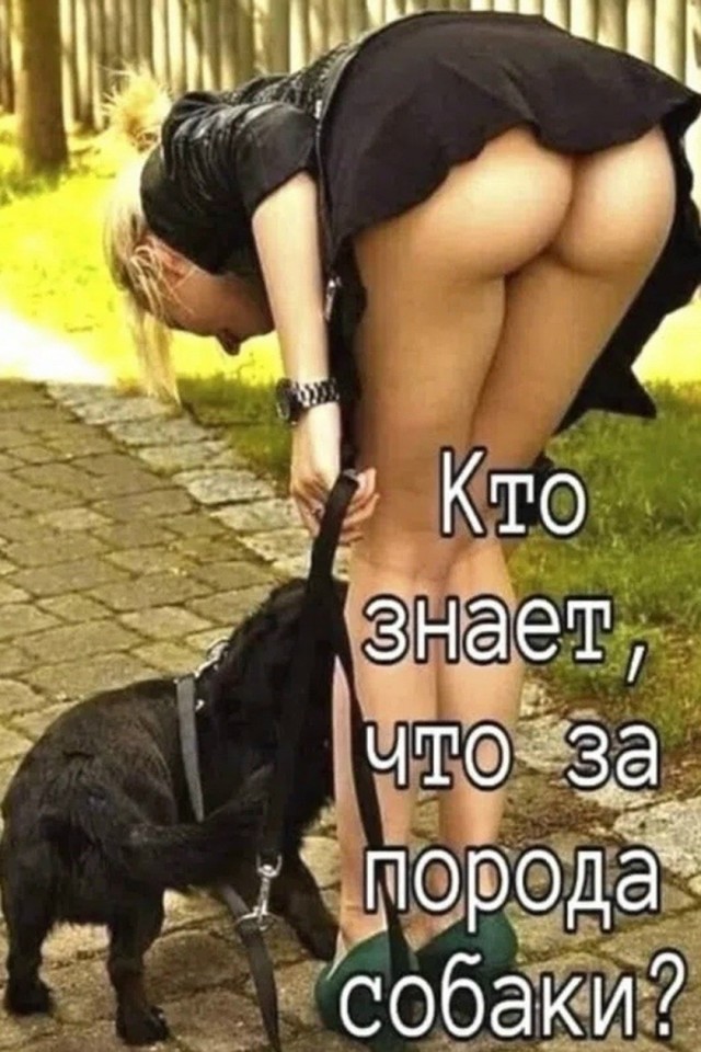 Так себе картинки 25.09.26
