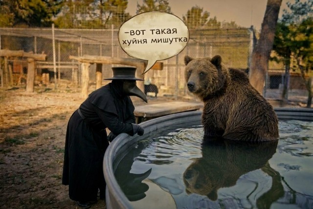 о наболевшем