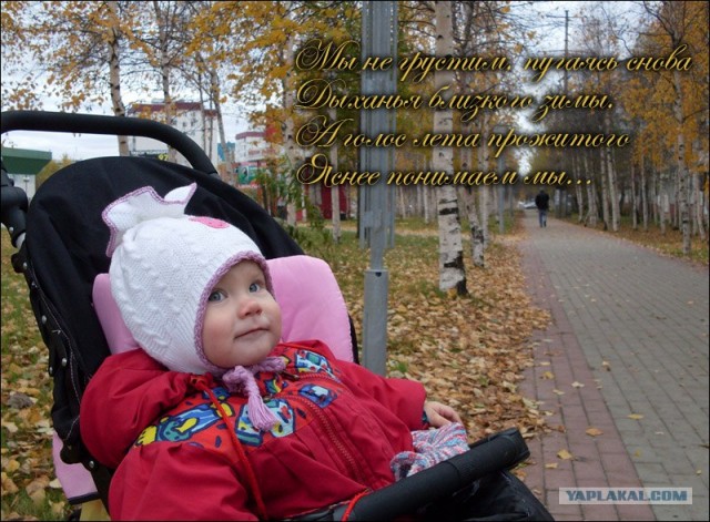 Детки