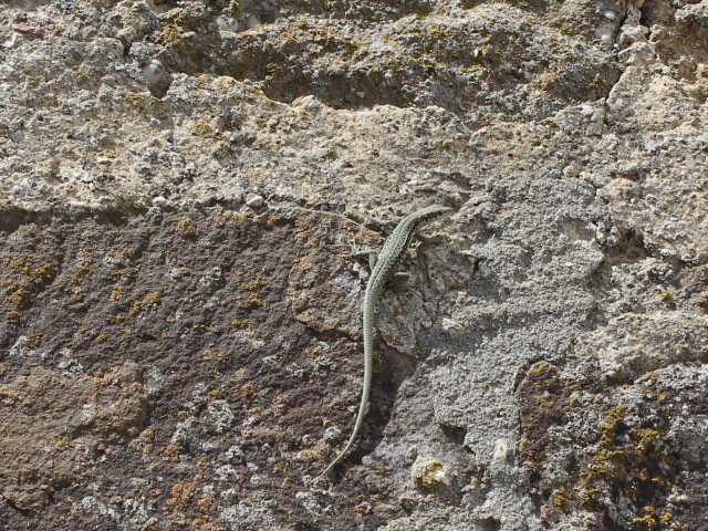 Отчёт о поездке в Крым 12.07 - 29.07