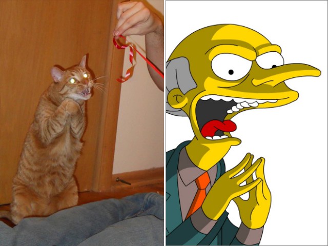 Весёлые картинки