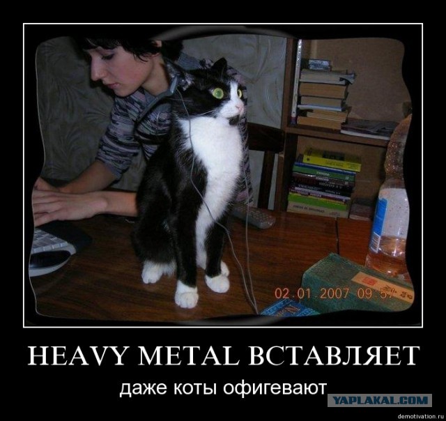 Пятничные  демотиваторы...
