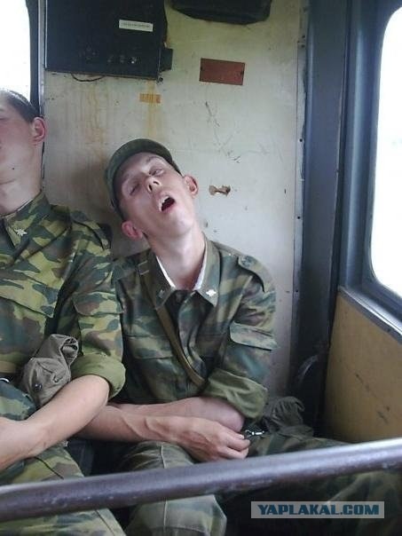 Зомби атакуют!