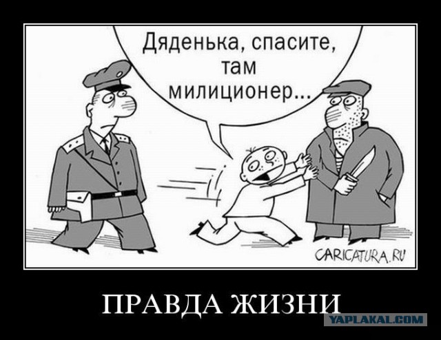 Два плотника попали под раздачу СОБРа
