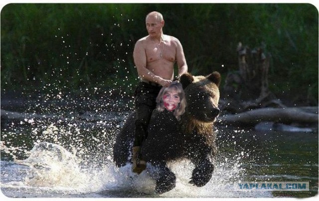 Кровавое увлечение моложавой американской бабули