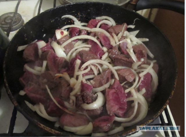 Знак не врет!