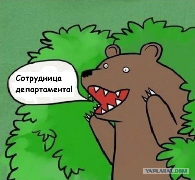 Чиновницы правительства Ульяновской области