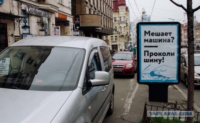 Я паркуюсь как хочу