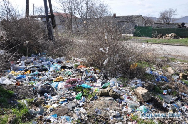 Она не кусается