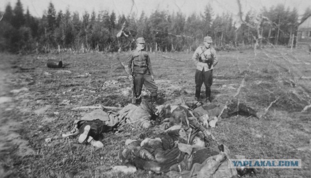 Финские листовки для советских солдат в Зимнюю войну