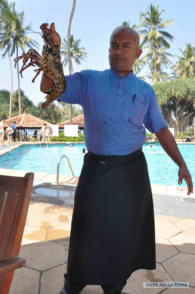 Самостоятельное путешествие в Шри-Ланку