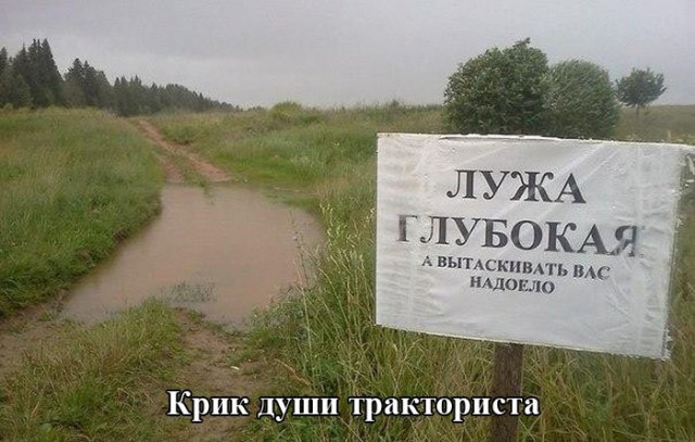 Свежая подборка прикольных картинок