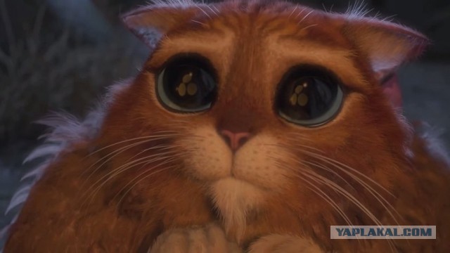 Я просто смотрю