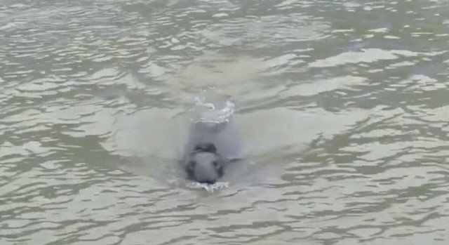 Хорошо устроился!