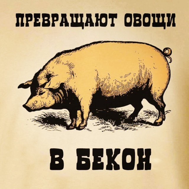 Картинки с надписями