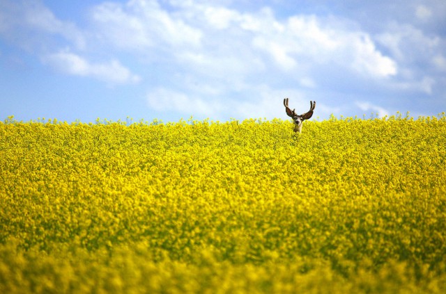 Подборка любопытных фотографий со всего света