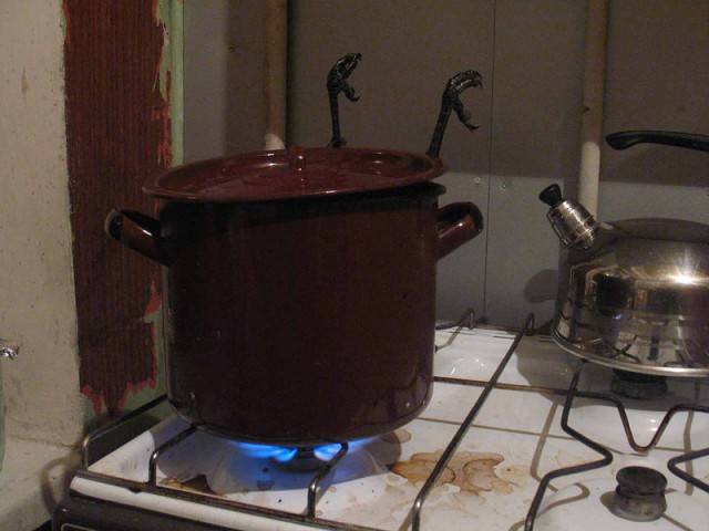 Последний кусатель ворон Куршской косы (Калининградская область).