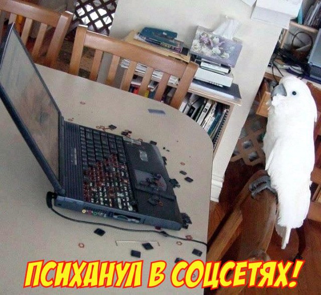 Подборка картинок