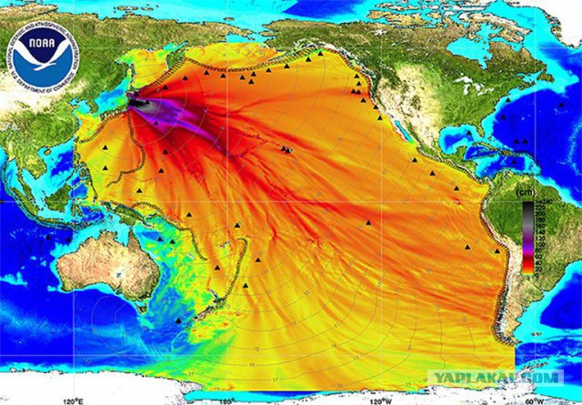 Беспрецедентный уровень радиации на «Фукусиме»