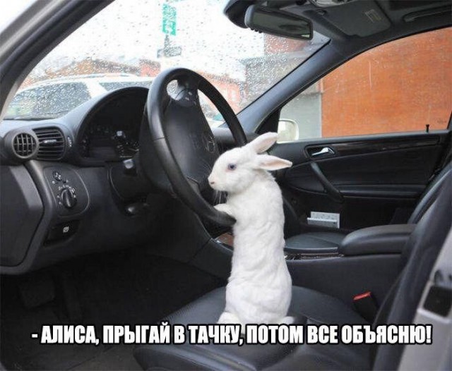 Подборка интересных и веселых картинок