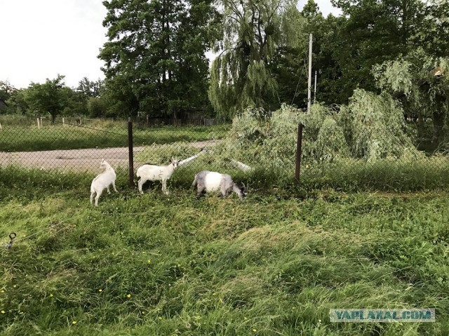 Как я съездил на Западную Украину и не только…