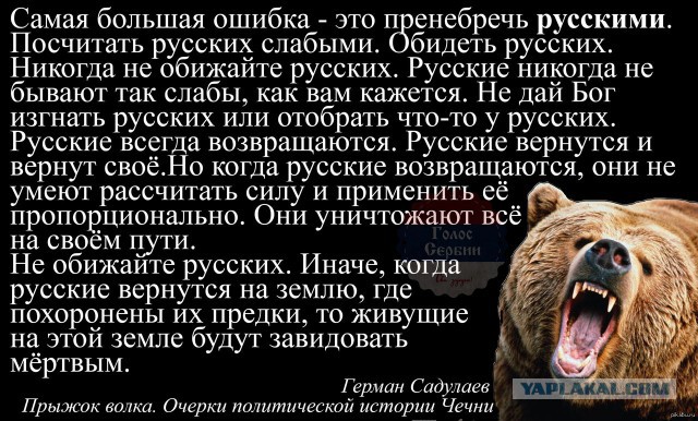 Они тупые или специально это делают?