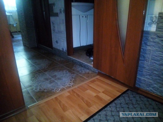 История одного котенка
