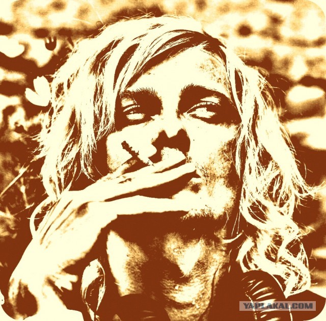 Кто разобрал послание с монитора?